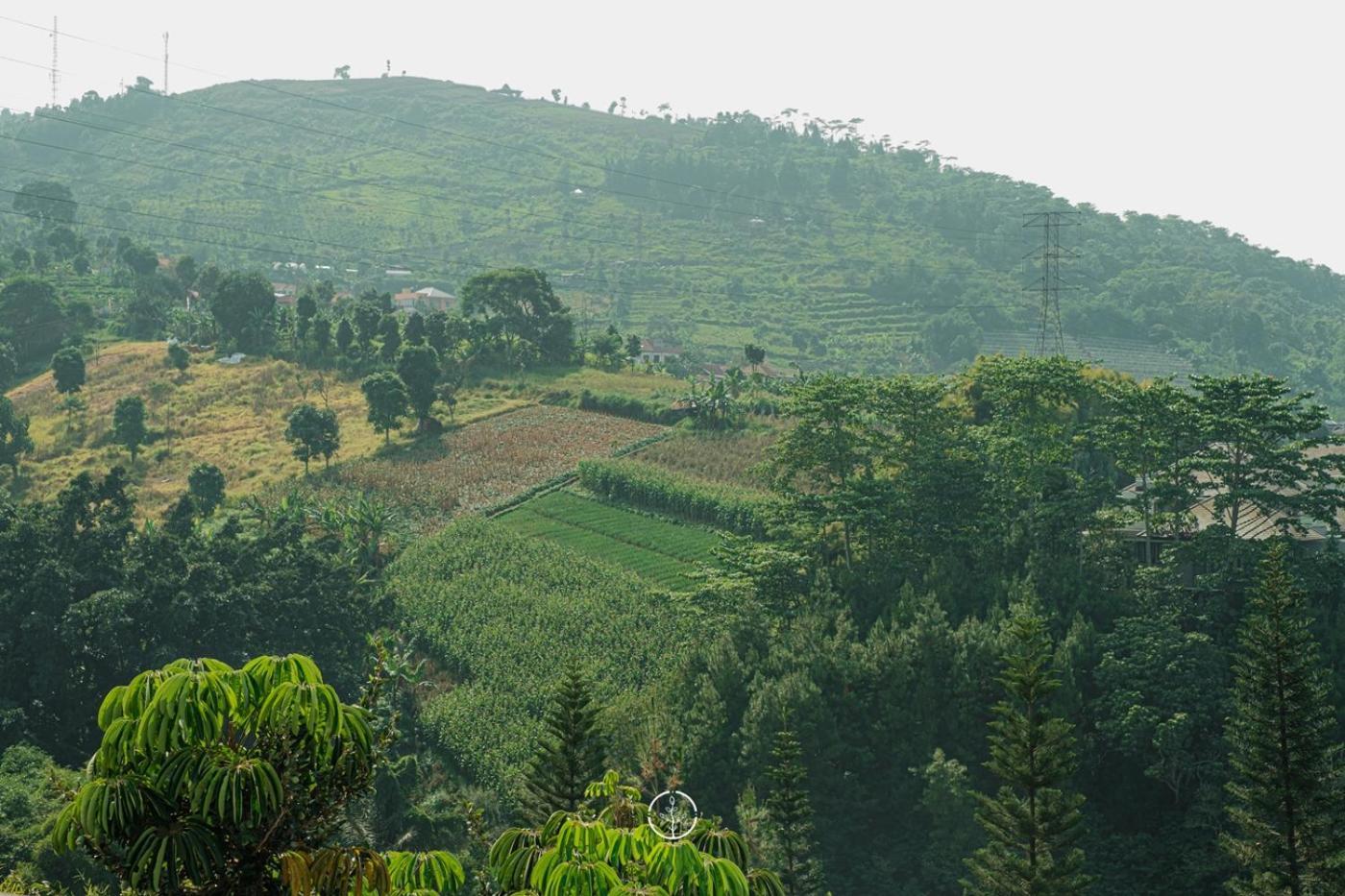 Villa Morning Glory Mountain View 4 Bedrooms With A Private Swimming Pool Bandung